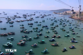 Vietnam advocates sustainable development of its marine economy and aims to maintain the sustainable growth of the fisheries sector with a fleet structure and fishing methods aligned with the aquatic resource exploitation capacity. (Photo: VNA)