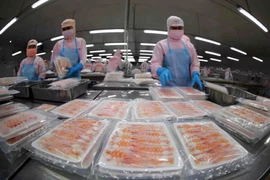 Processing seafood for export (Photo: VNA)