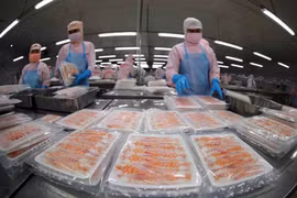Processing seafood for export (Photo: VNA)