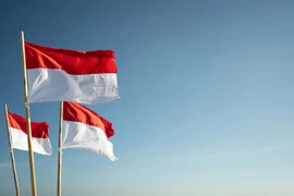 Illustrative image (Photo: Internet)