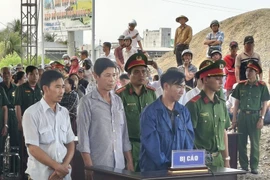 At a mobilse trial in Song Doc commune, Ca Mau province on November 12. (Photo: VNA)