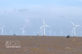 The offshore wind turbine system of Tien Giang Wind Power Energy JSC. (Photo: VNA)