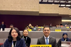 The Vietnamese delegation at COP11 (Photo: PV/Vietnam+)