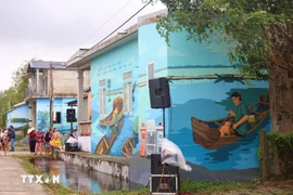 A part of the Cu Lac – Ngu My Thanh mural road for plastic reduction in Ngu My Thanh village in the central city of Hue. (Photo: VNA)