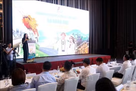 The Department of Culture, Sports and Tourism of Da Nang on August 15 launches a tourism stimulus programme to boost travel to the central coastal hub. (Photo: VNA)