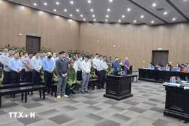 Defendants at the court (Photo: VNA)