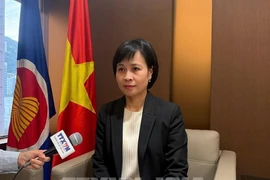 Vietnamese Consul General in Hong Kong (China) Le Duc Hanh (Photo: VNA)