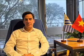 Ignacio Bartesaghi, Director of the Institute of International Trade at the Catholic University of Uruguay (Photo: VNA)