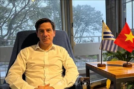 Ignacio Bartesaghi, Director of the Institute of International Trade at the Catholic University of Uruguay (Photo: VNA)