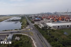The Cai Mep Ha Free Trade Zone currently has four seaports and four inland waterway ports in operation. (Photo: VNA)