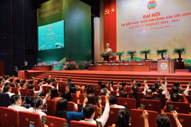 Delegates vote to approve the congress's agenda Photo: VNA)
