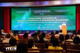 A view of the International Conference on Molecular Diagnostics in Microbiology and Diseases, organised by Rencontres du Vietnam and the International Centre for Interdisciplinary Science and Education (ICISE) in the central province of Gia Lai on December 11. (Photo: VNA)