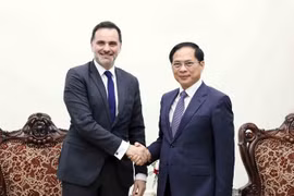 Deputy Prime Minister and Minister of Foreign Affairs Bui Thanh Son (right) and French Minister Delegate for Foreign Trade and French Nationals Abroad Laurent Saint-Martin in Hanoi on April 12 (VNA)