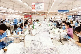 Garment production for export at Hoa Tho Garment JS Corporation. (Photo: nhandan.vn)