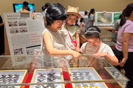 Visitors flock to see rare insect specimens at the Da dang sac mau con trung Vietnam (The Diversity of Vietnamese Insects) exhibition at the Da Nang Museum. (Photo: nld.vn)