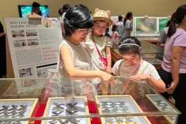 Visitors flock to see rare insect specimens at the Da dang sac mau con trung Vietnam (The Diversity of Vietnamese Insects) exhibition at the Da Nang Museum. (Photo: nld.vn)