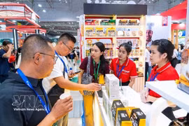 Participants will showcase and introduce the latest products and technologies across a wide range of sectors. (Photo: VNA)