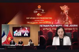 A view of the Vietnam-France online press briefing. (Photo: VietnamPlus)