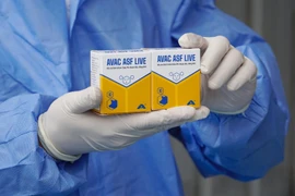 The African swine fever vaccine AVAC ASF LIVE (Photo: AVAC)