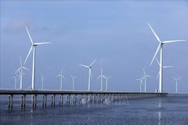 Wind turbines constructed off the coast of Ca Mau. (Photo: VNA)