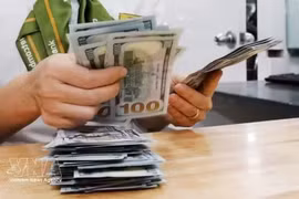 With the current trading band of +/- 5%, the ceiling rate applicable for commercial banks during the day is 26,792 VND/USD, and the floor rate 24,240 VND/USD. (Photo: VNA)
