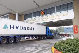 Trucks carrying fresh lychees for export clearing customs at Kim Thanh Road International Border Gate II. (Photo: baobacninhtv.vn)