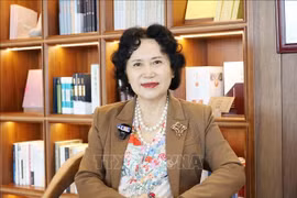 Tao Yitao, senior professor at Shenzhen University, former Deputy Secretary of the university’s Party Committee, and Director of the China Centre for Special Economic Zone Research. (Photo: VNA)