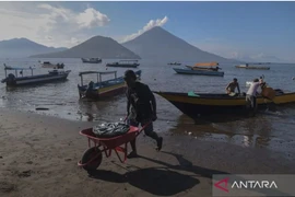 Illustrative photo (Photo: Antara)