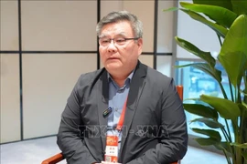 Professor Cui Hongjian from the Academy of Regional and Global Governance at the Beijing Foreign Studies University. (Photo: VNA)