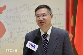 Cheng Hanping, Director of the Vietnam Research Centre at Zhejiang University of Technology. (Photo: VNA)
