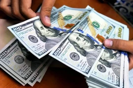 The daily reference exchange rate for the US dollar is set at 24,325 VND/USD on January 24. (Photo: VNA)