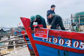 Fishing vessels that fail to meet requirements are barred from going to sea. (Photo: VNA)