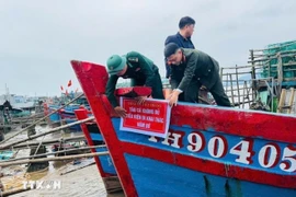 Fishing vessels that fail to meet requirements are barred from going to sea. (Photo: VNA)