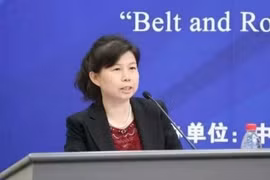 Liu Ying, a research fellow at the Chongyang Institute for Financial Studies under the Renmin University of China (Photo: VNA)
