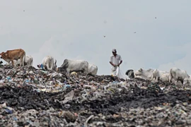 Indonesia’s capital faces serious waste crisis