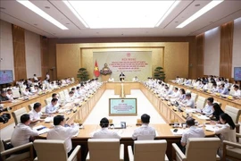 At the conference (Photo: VNA)