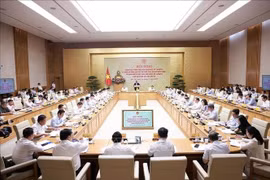 At the conference (Photo: VNA)