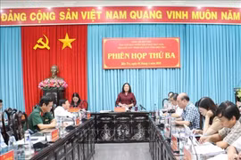 Chairwoman of the People’s Council of Ben Tre province Ho Thi Hoang Yen (standing) addresses a meeting on April 1 (Photo: VNA)