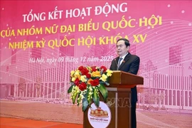 National Assembly Chairman Tran Thanh Man addresses the conference. (Photo: VNA)