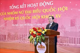 National Assembly Chairman Tran Thanh Man addresses the conference. (Photo: VNA)