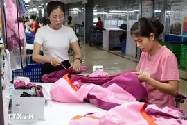Garments for export to the EU market being produced at TNG Garment Corporation. (Photo: VNA)