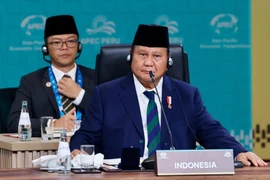 Indonesia President Prabowo Subianto (Photo: BPMI Setpres) 