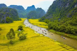 The Ngo Dong River welcomes domestic and foreign tourists to Tam Coc – Bich Dong (Photo: VNA)