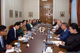 The meeting between Bulgarian President Rumen Radev and the Vietnamese delegation in Sofia on June 4. (Photo: VNA)