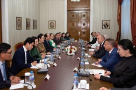 The meeting between Bulgarian President Rumen Radev and the Vietnamese delegation in Sofia on June 4. (Photo: VNA)