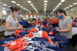 In the first seven months of 2025, Vietnam's exports reach 262.44 billion USD, up 14.8% year-on-year (Photo: VNA)