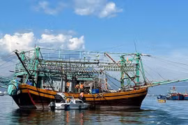 Da Nang City's border guards check departure documents of fishing boats. (Photo: VNA) 