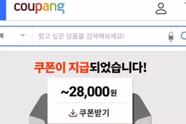Coupang.com, one of the Republic of Korea's leading online retail corporations, has actively cooperated with the Vietnamese Embassy in handling issues related to products and items with wrong information of Vietnam. (Screenshot of the site)
