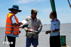 Officers check a fisherman's compliance with regulations on combating IUU fishing. (Photo: VNA)