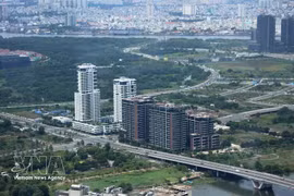 Media analysis shows increased attention to new projects and product launches, accounting for 22.3% of discussions. (Photo: VNA)